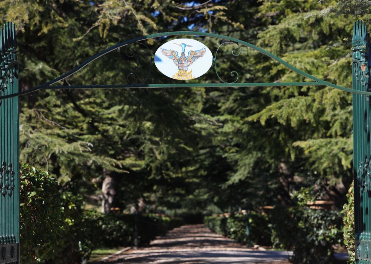 רובו די פוליה Villa Fenicia מראה חיצוני תמונה